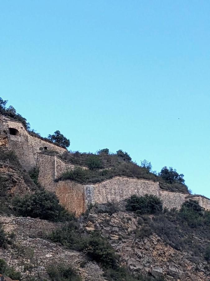 Appartement Le Fort 2 Vue Montagne 빌프랑슈 드 콩플랑 외부 사진